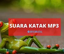 Suara Jangkrik Singkat Mp3 Download Gratis