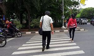 Zebra Cross Adalah Artinya